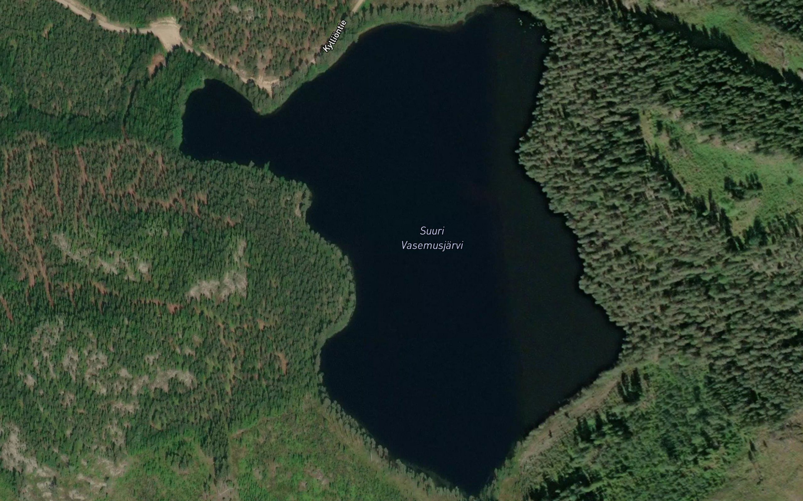 Suuri Vasemusjarvi