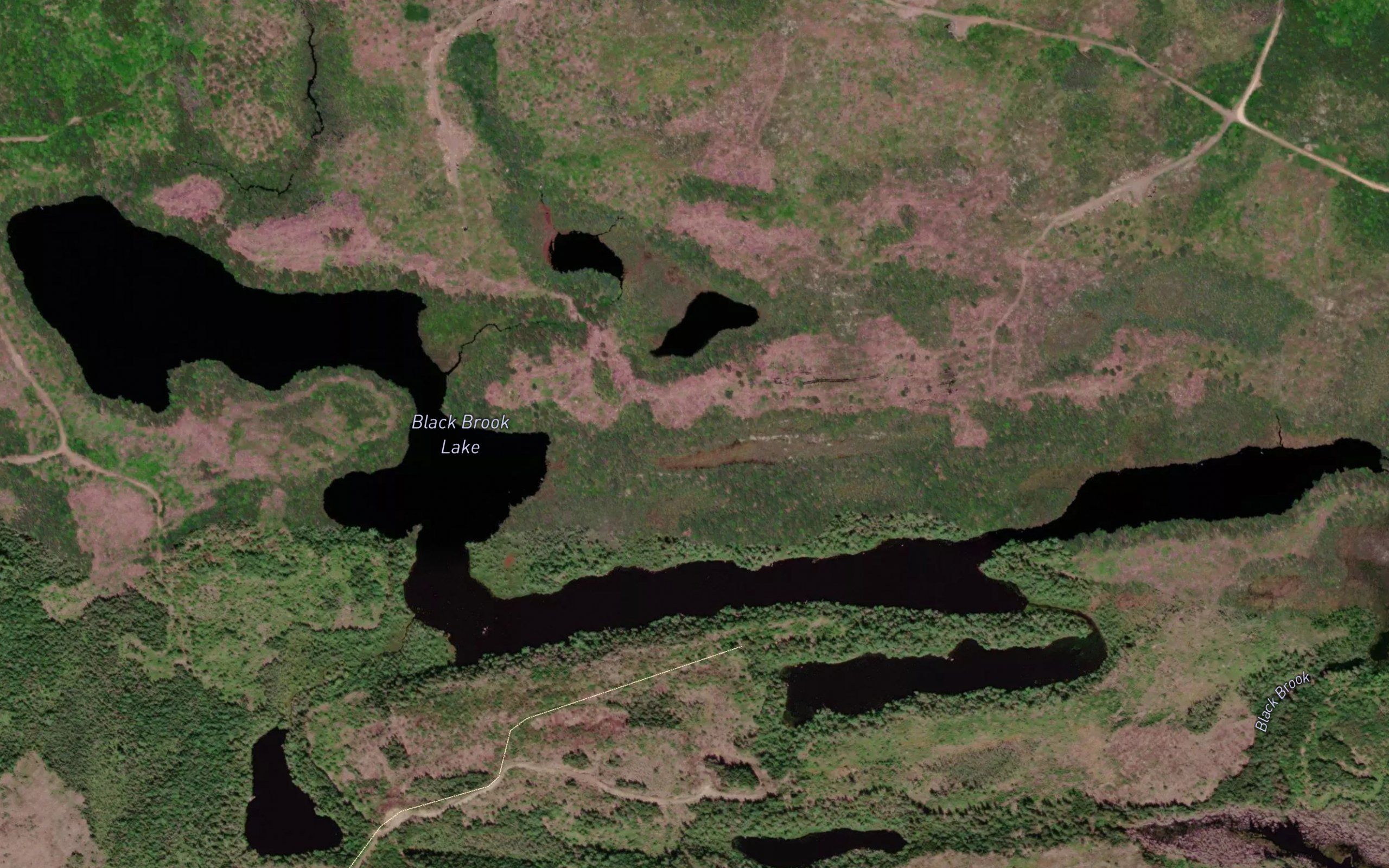 Black Brook Lake
