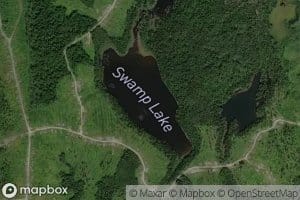Swamp Lake