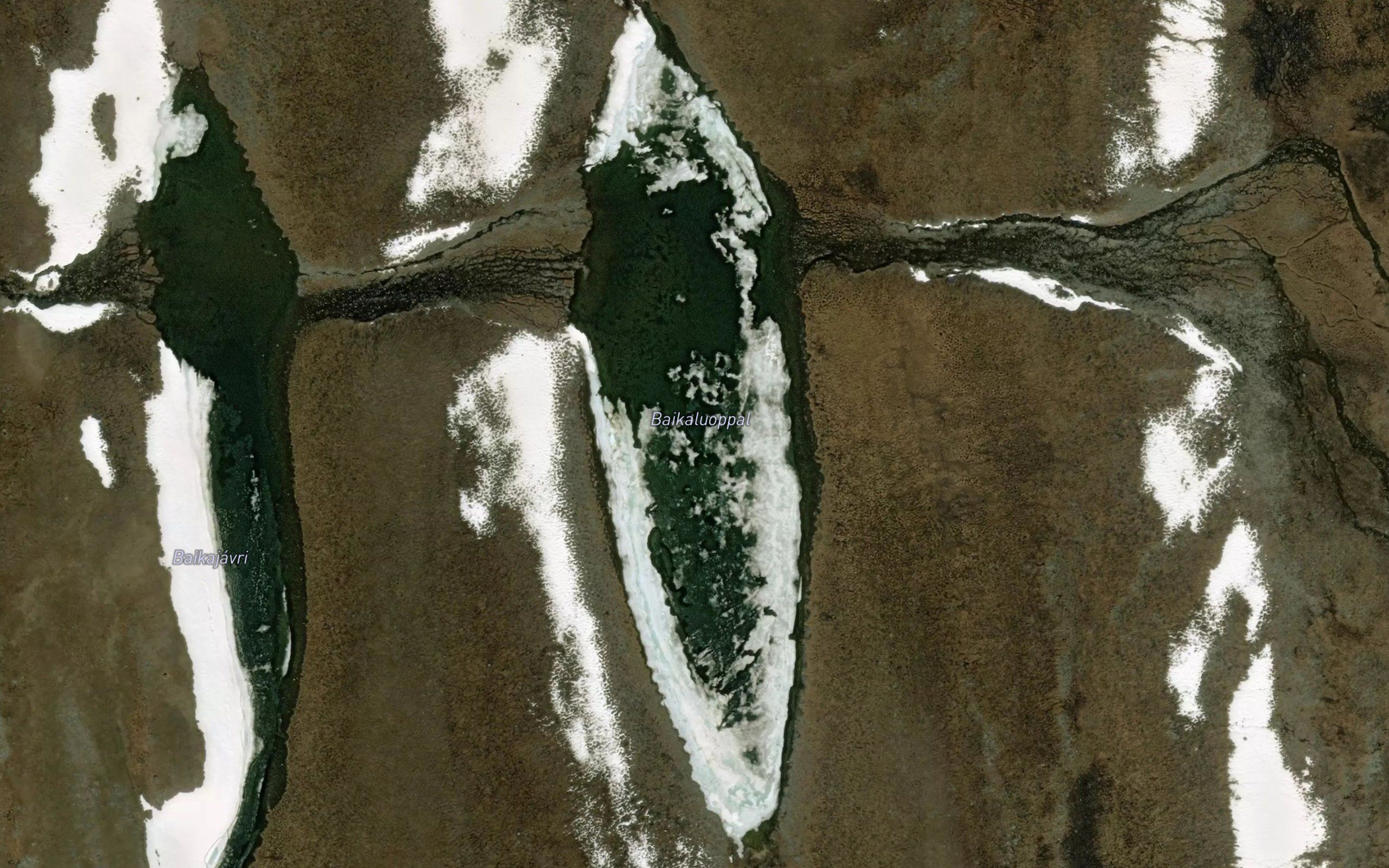 Baikaluobbal