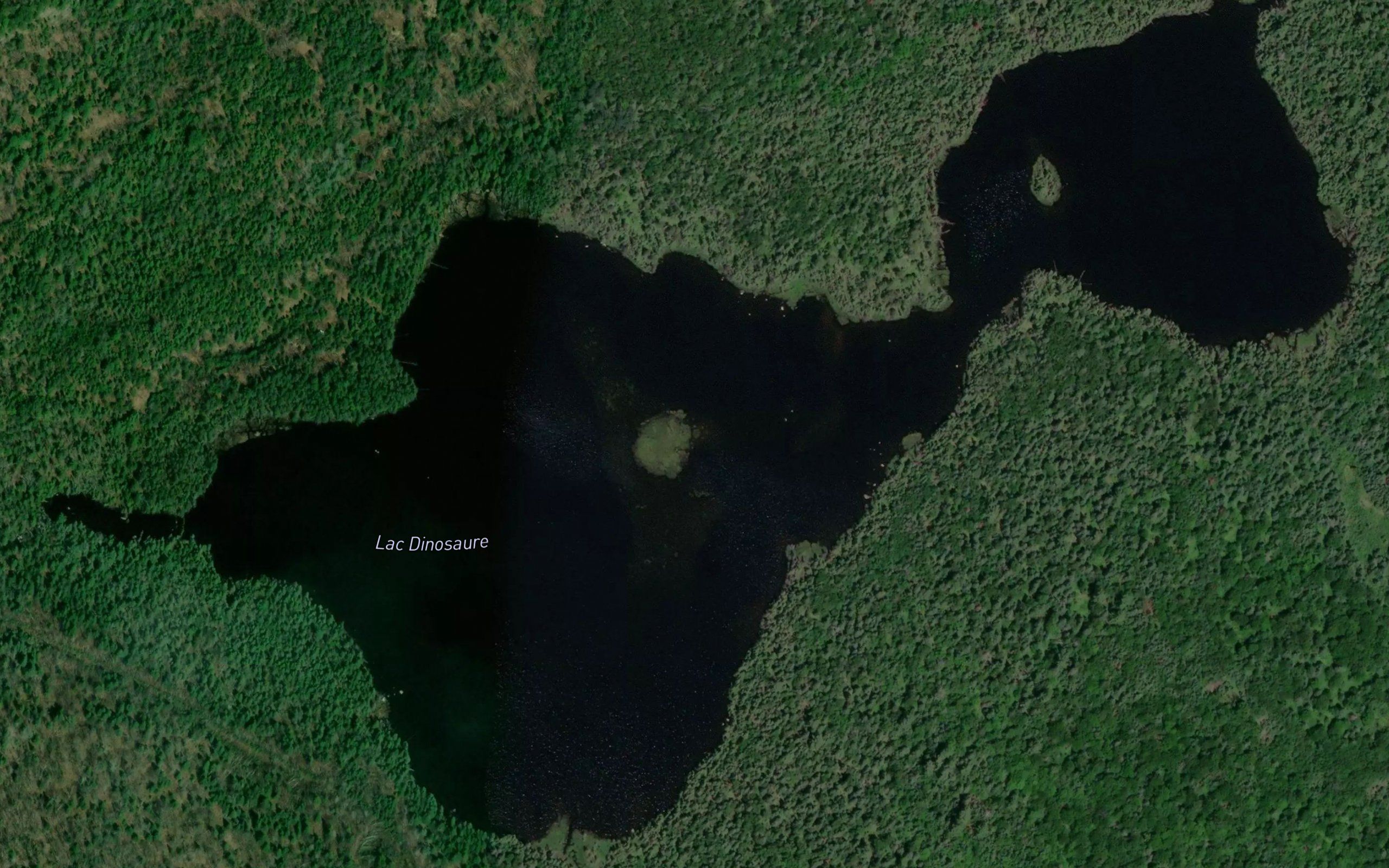 Lac Dinosaure