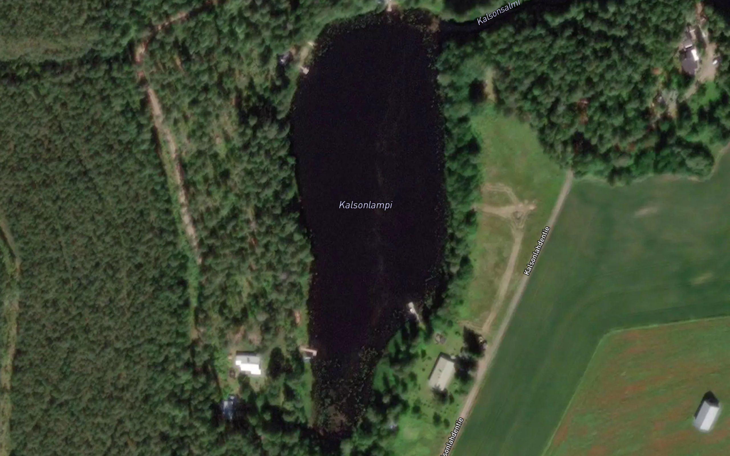 Kalsonlampi