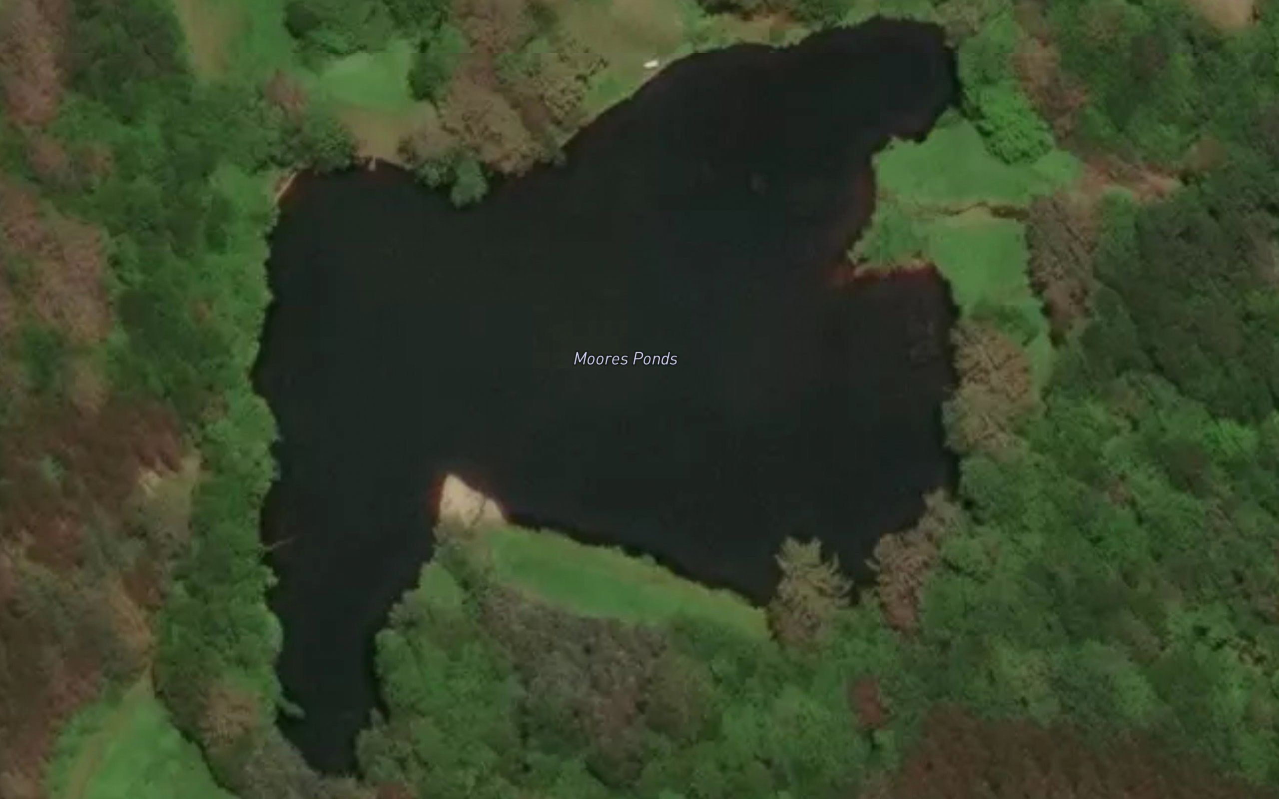 Moores Ponds