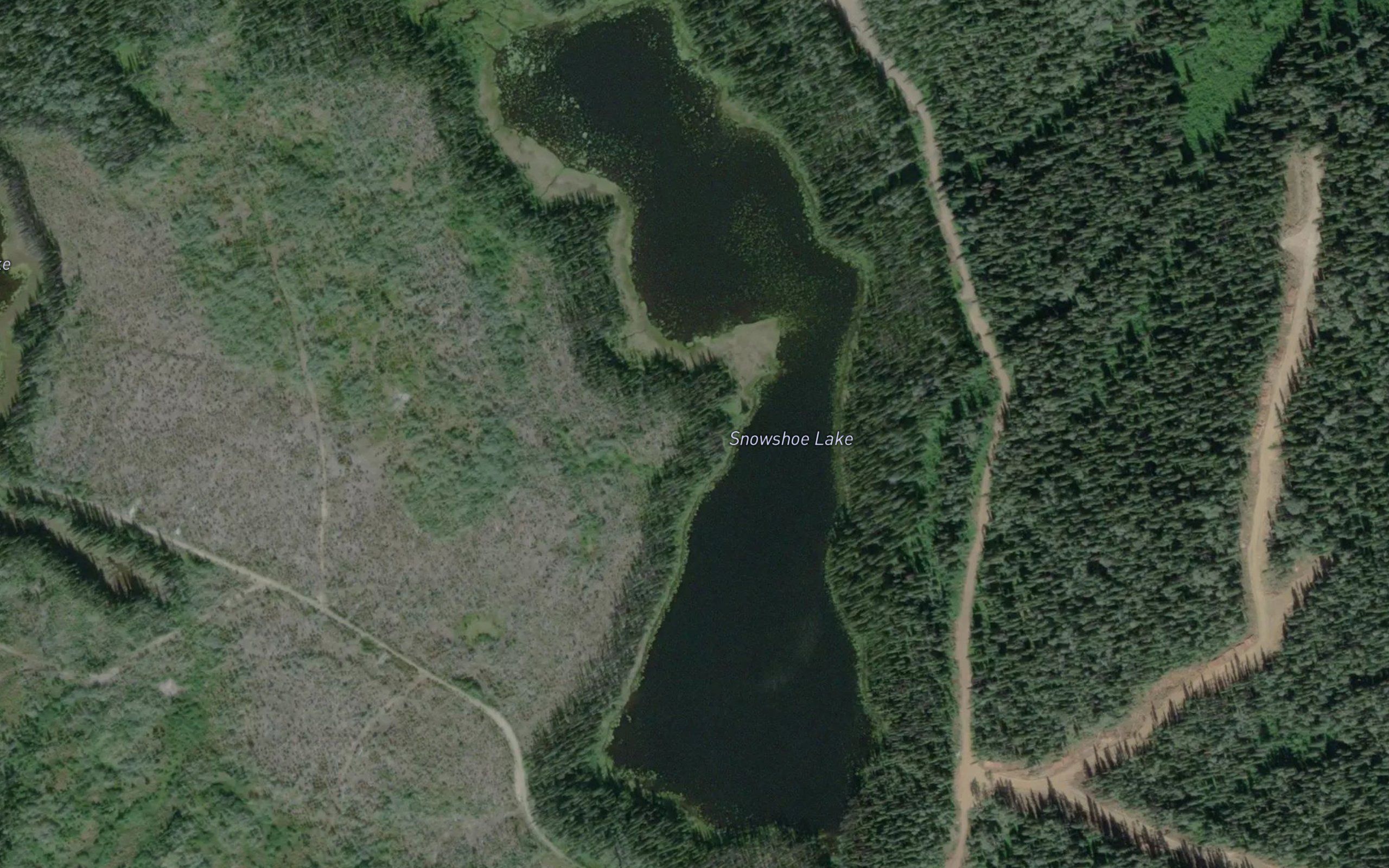 Snowshoe Lake