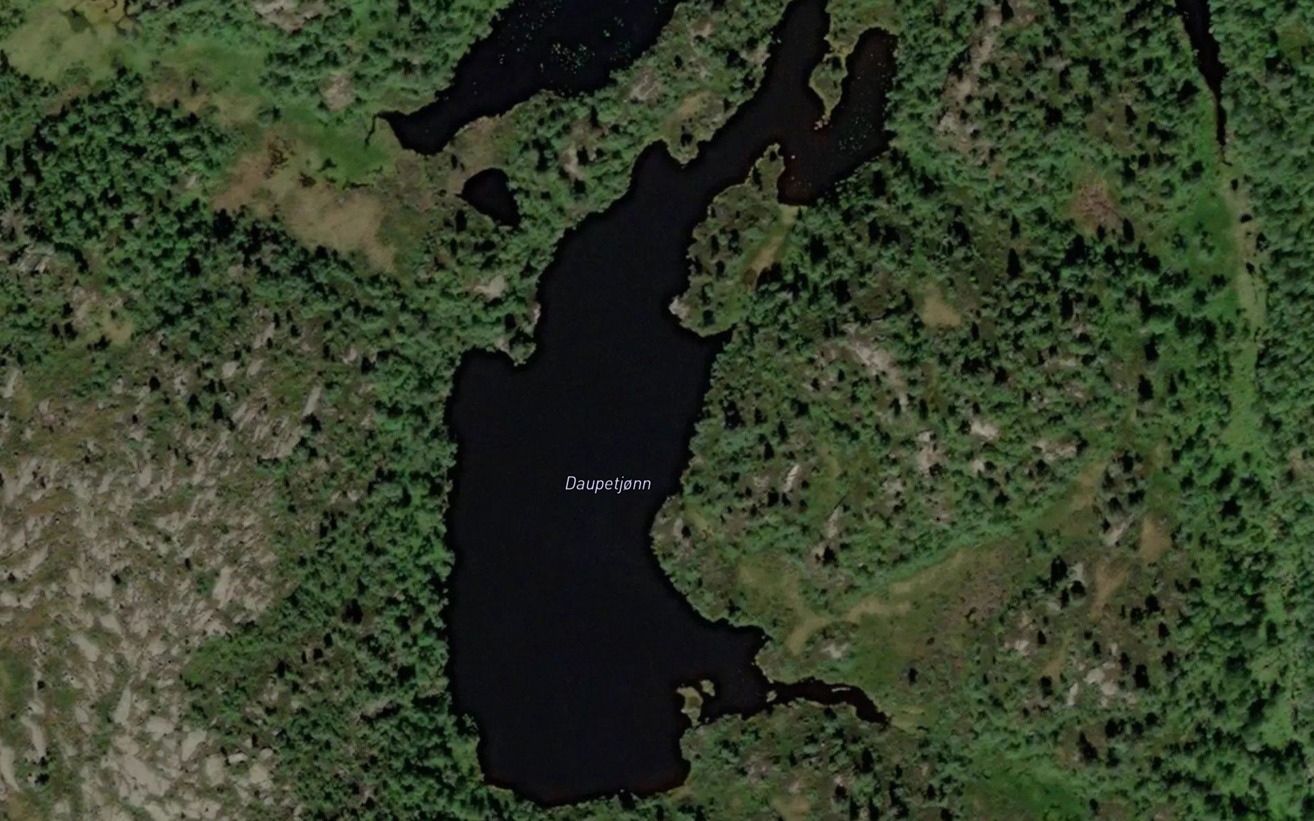 Daupetjonn
