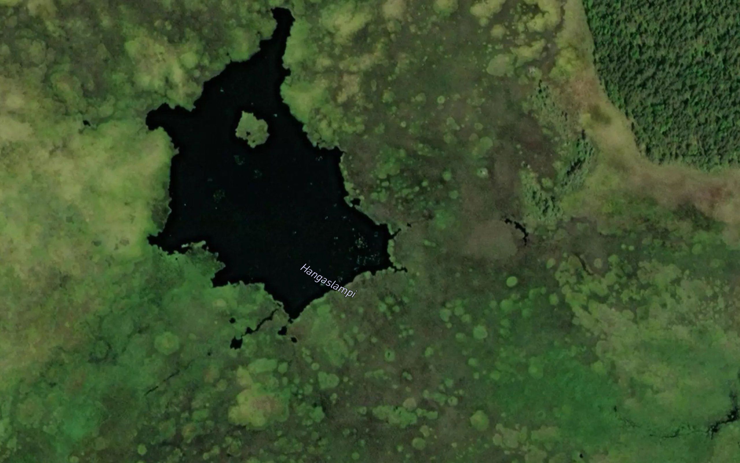Hangaslampi