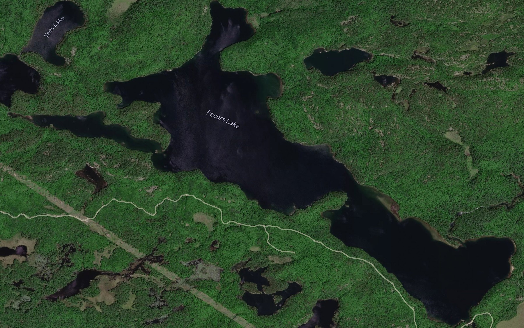 Satellite map of the Pecors Lake