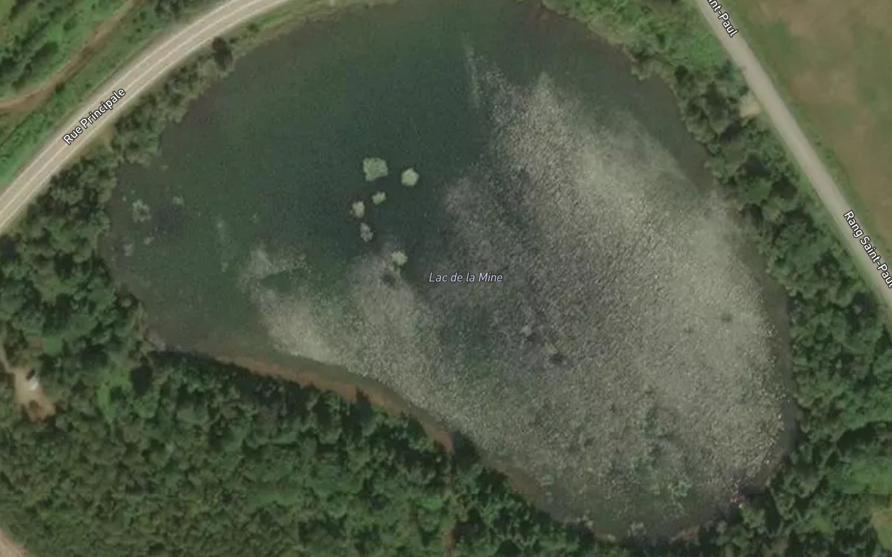 Satellite map of the Lac de la Mine