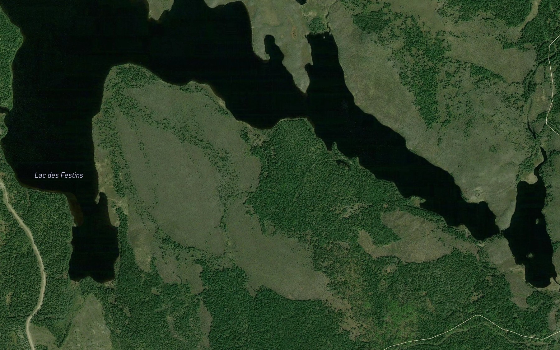 Satellite map of the Lac des Festins