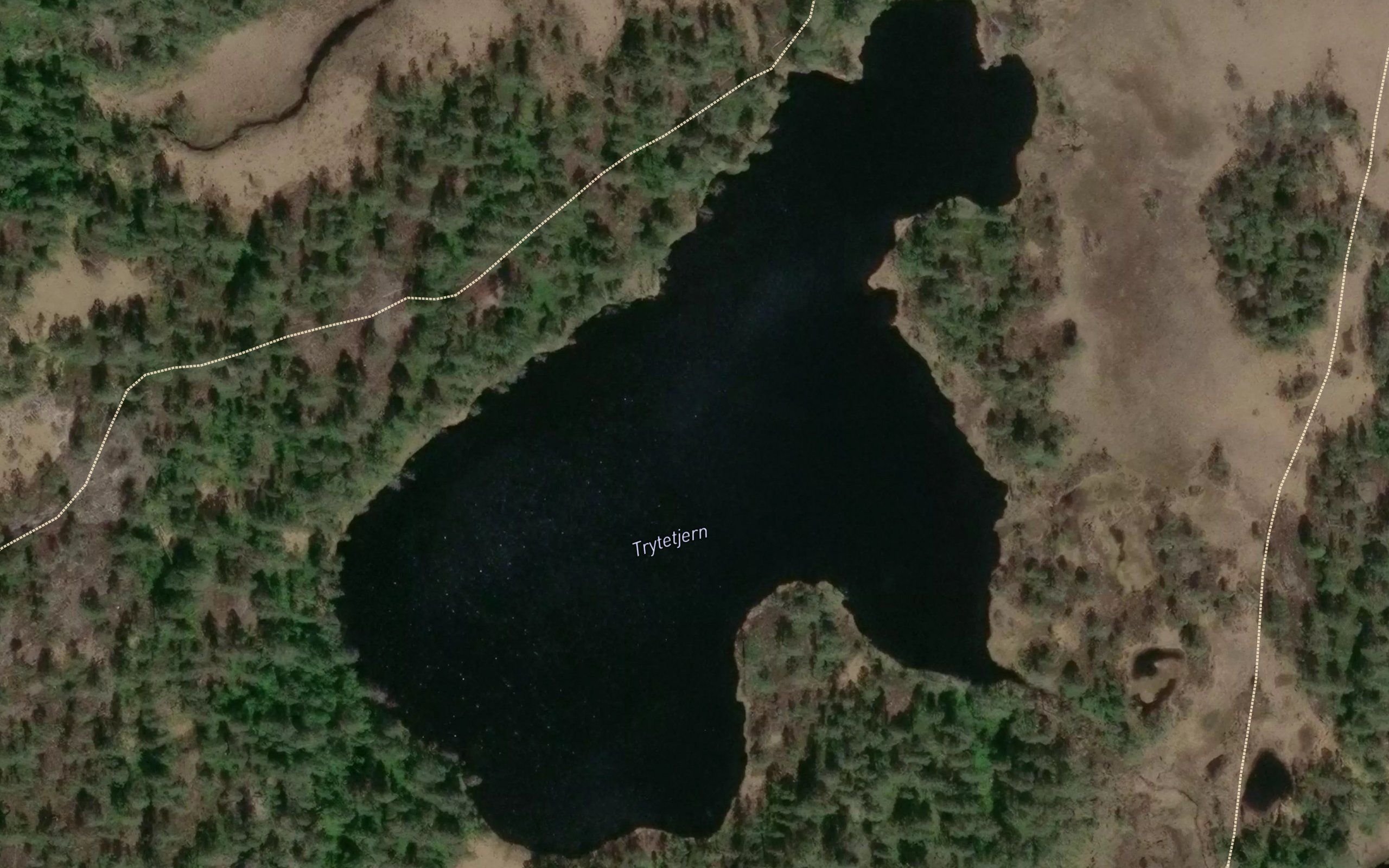 Trytetjerna