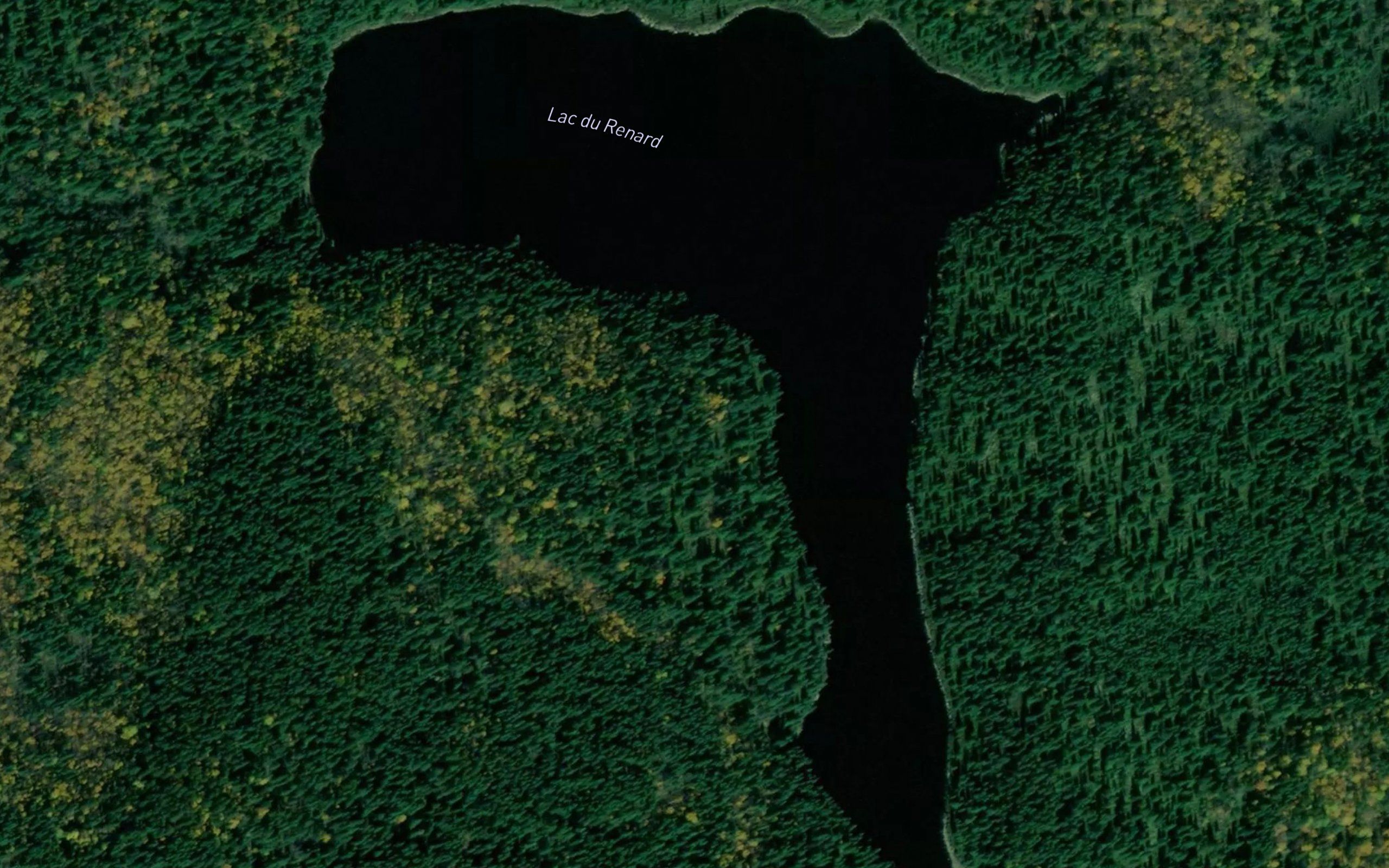 Lac du Renard