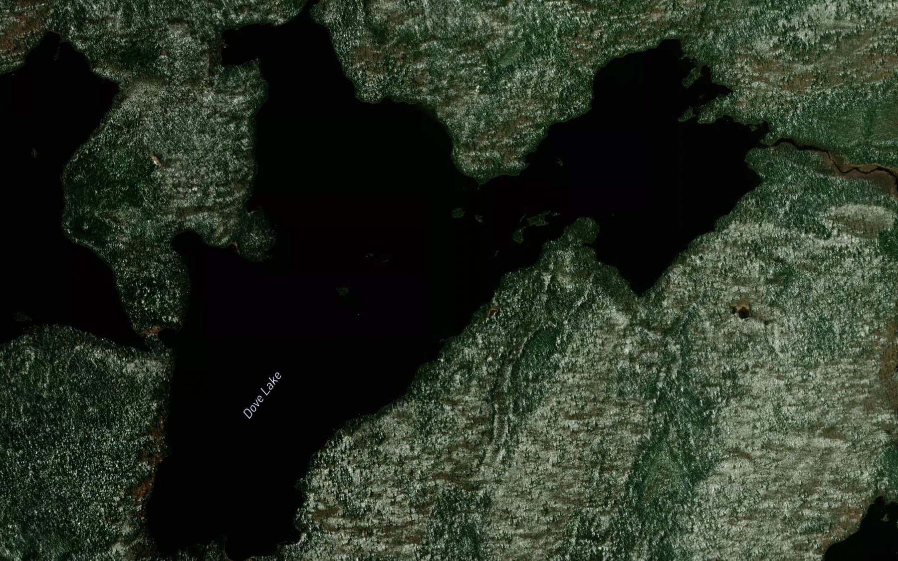 Satellite map of the Dove Lake