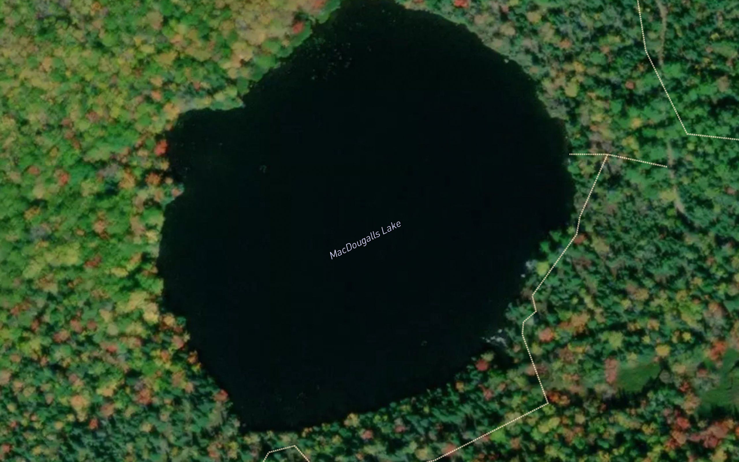 MacDougalls Lake