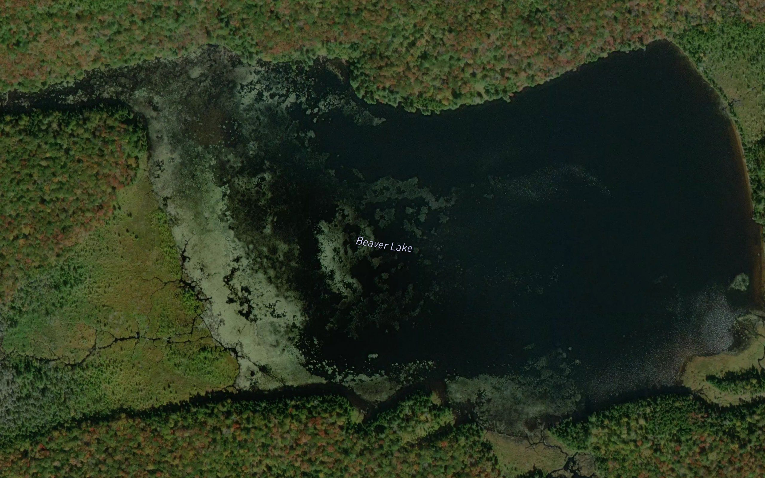 Beaver Lake