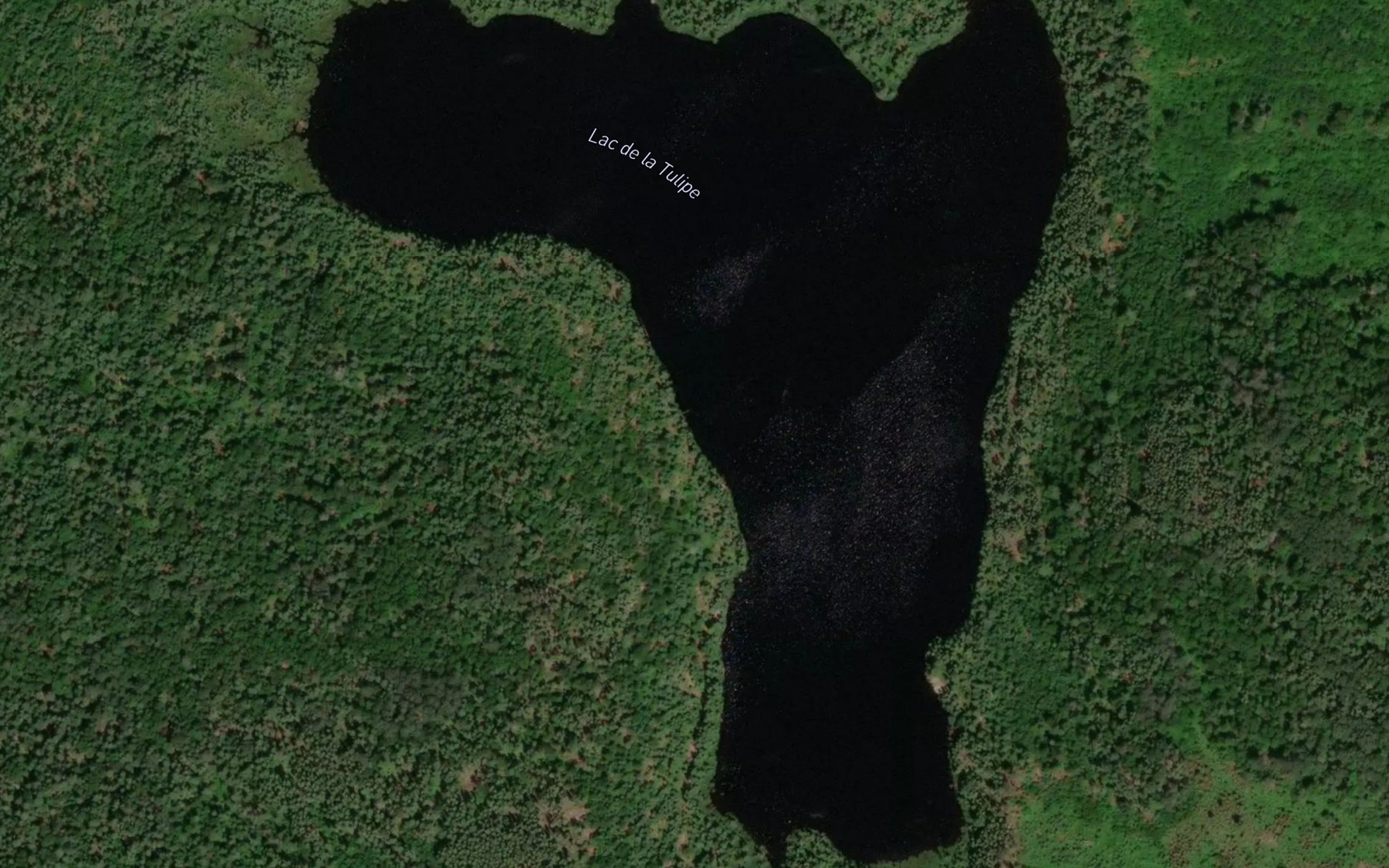 Satellite map of the Lac de la Tulipe