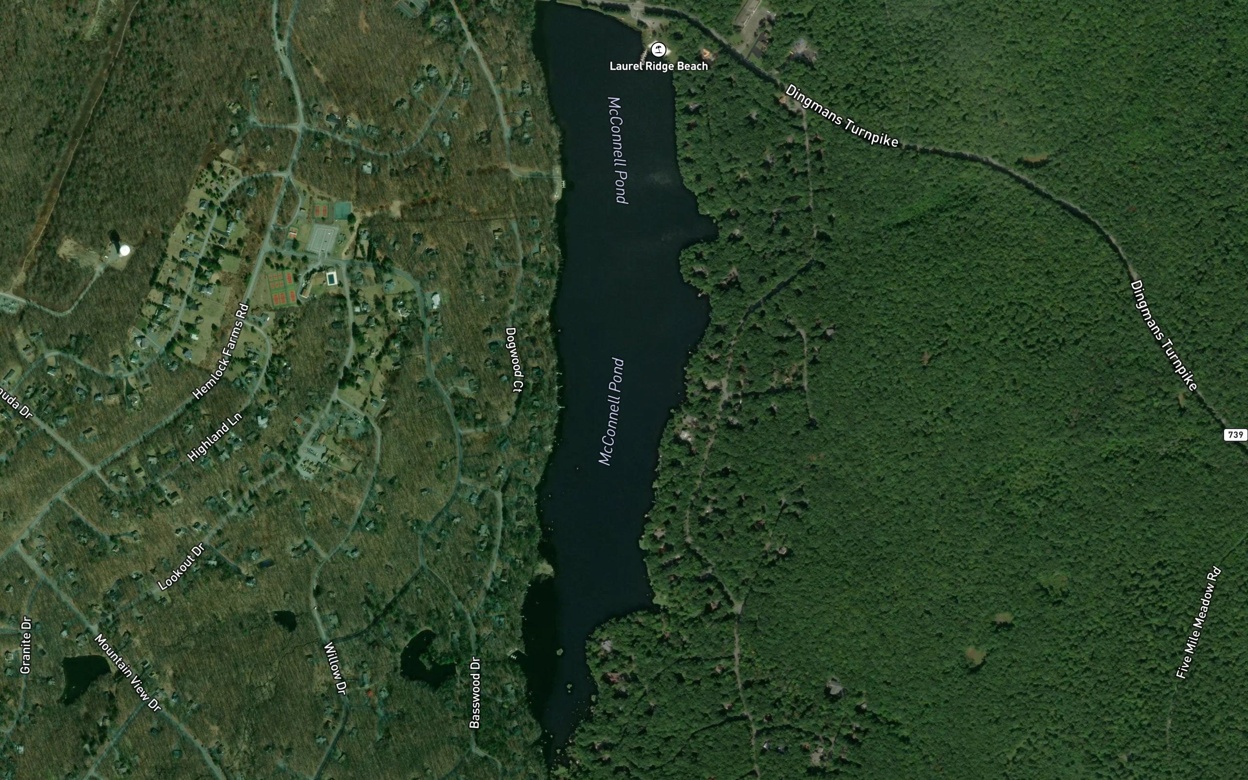 McConnell Pond
