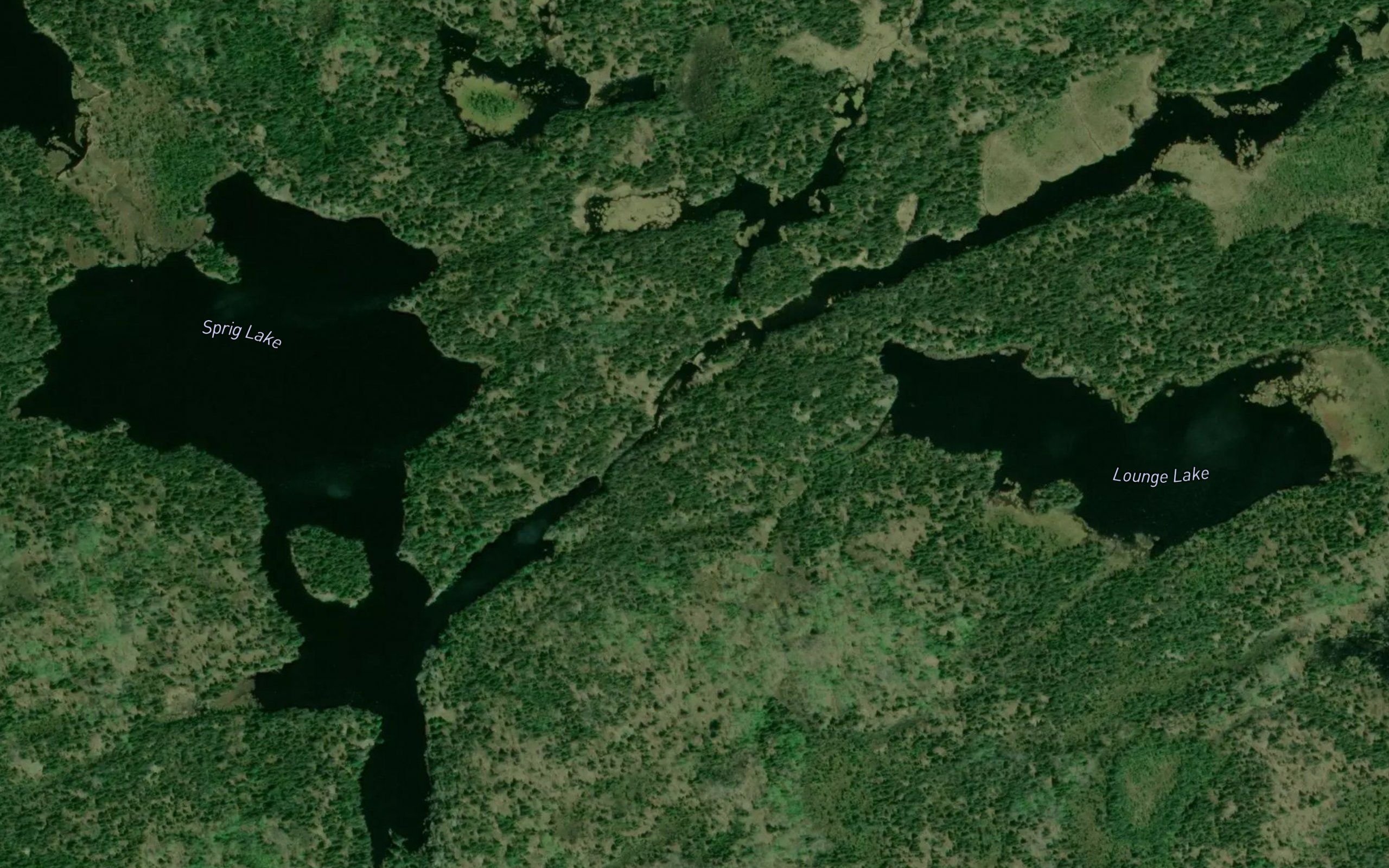 Sprig Lake