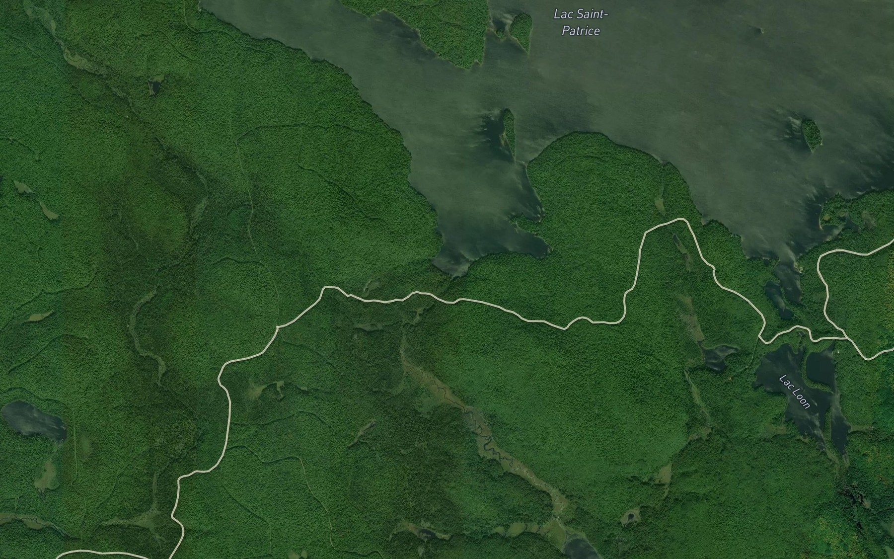 Satellite map of the Ruisseau Hogan