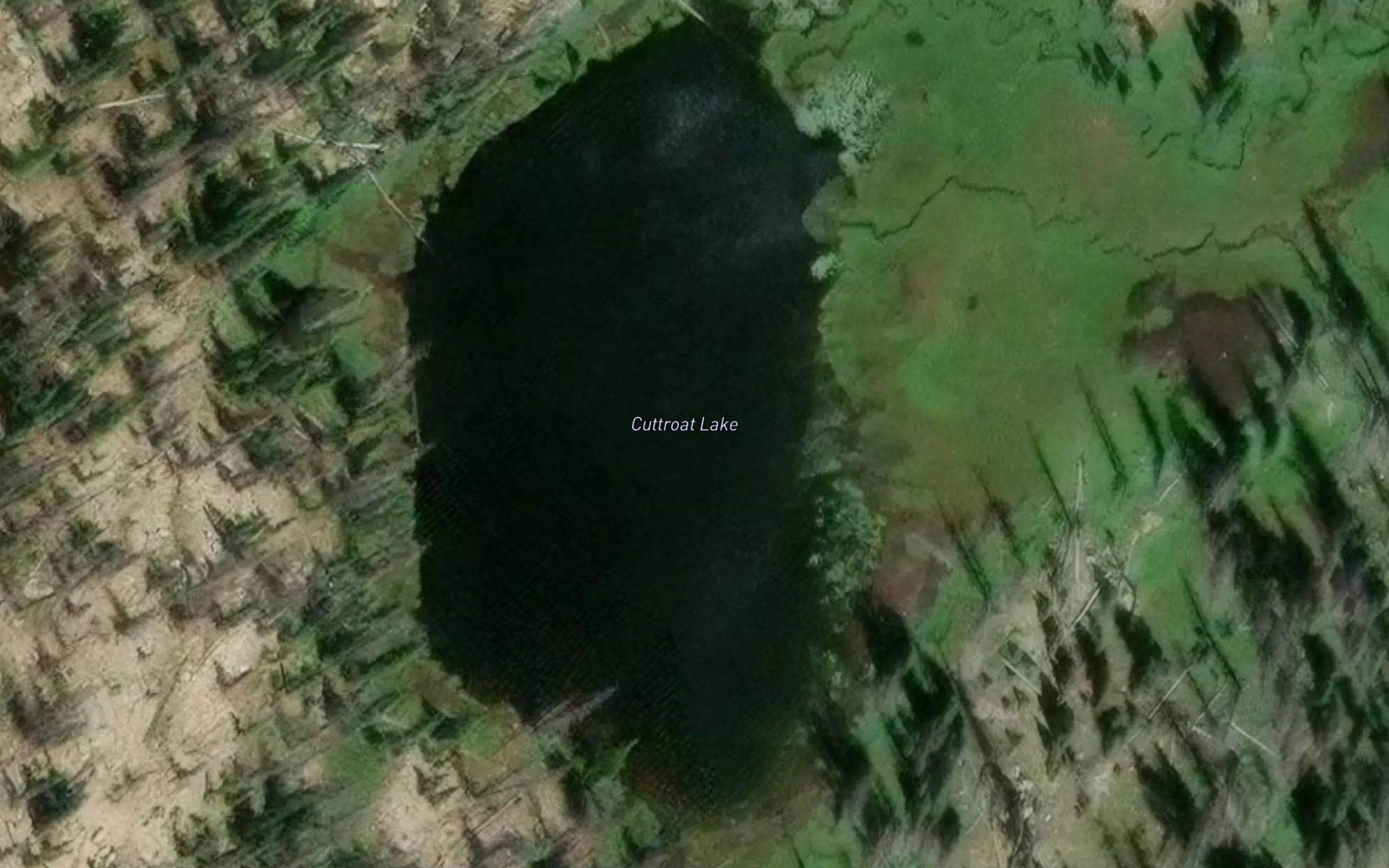 Cutthroat Lake