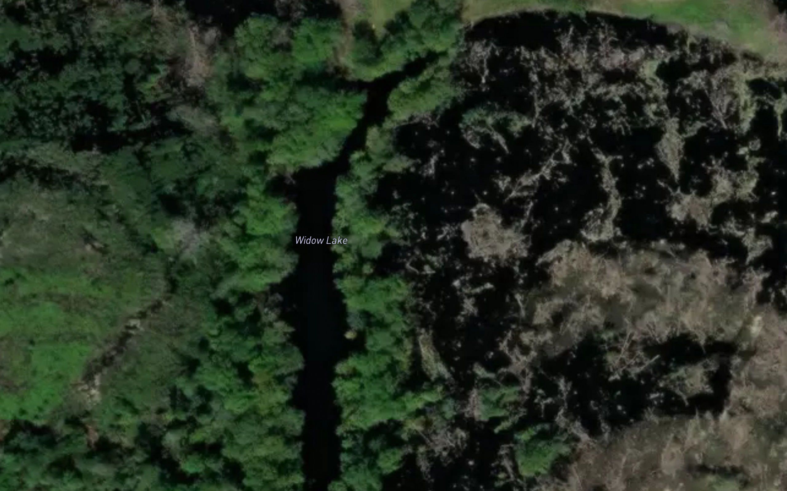 Widow Lake