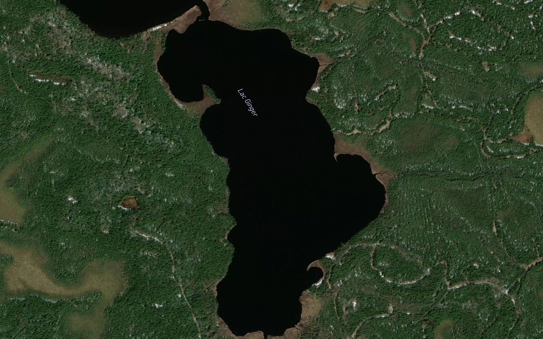 Satellite map of the Lac Ginger