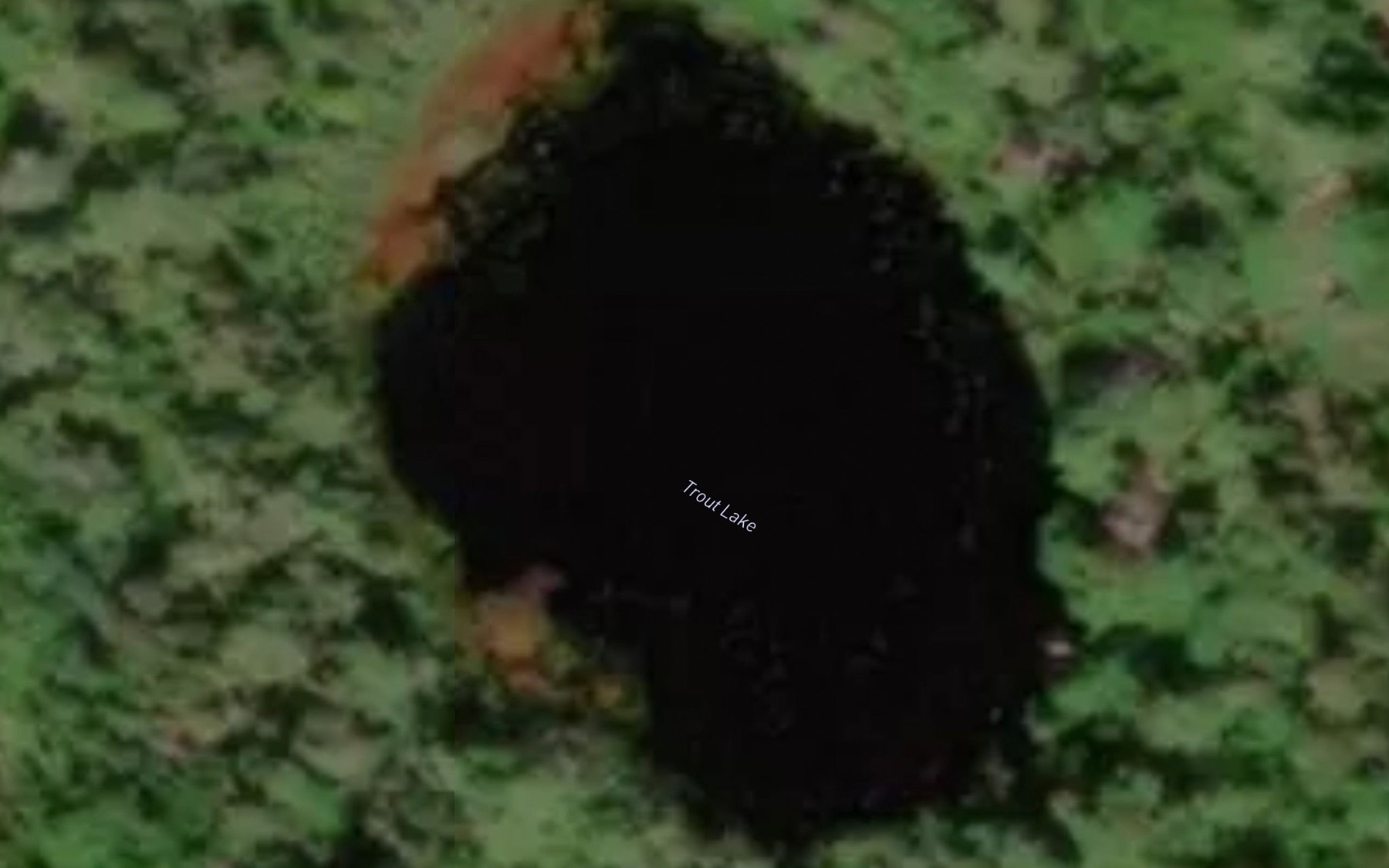 Satellite map of the Trout Lake