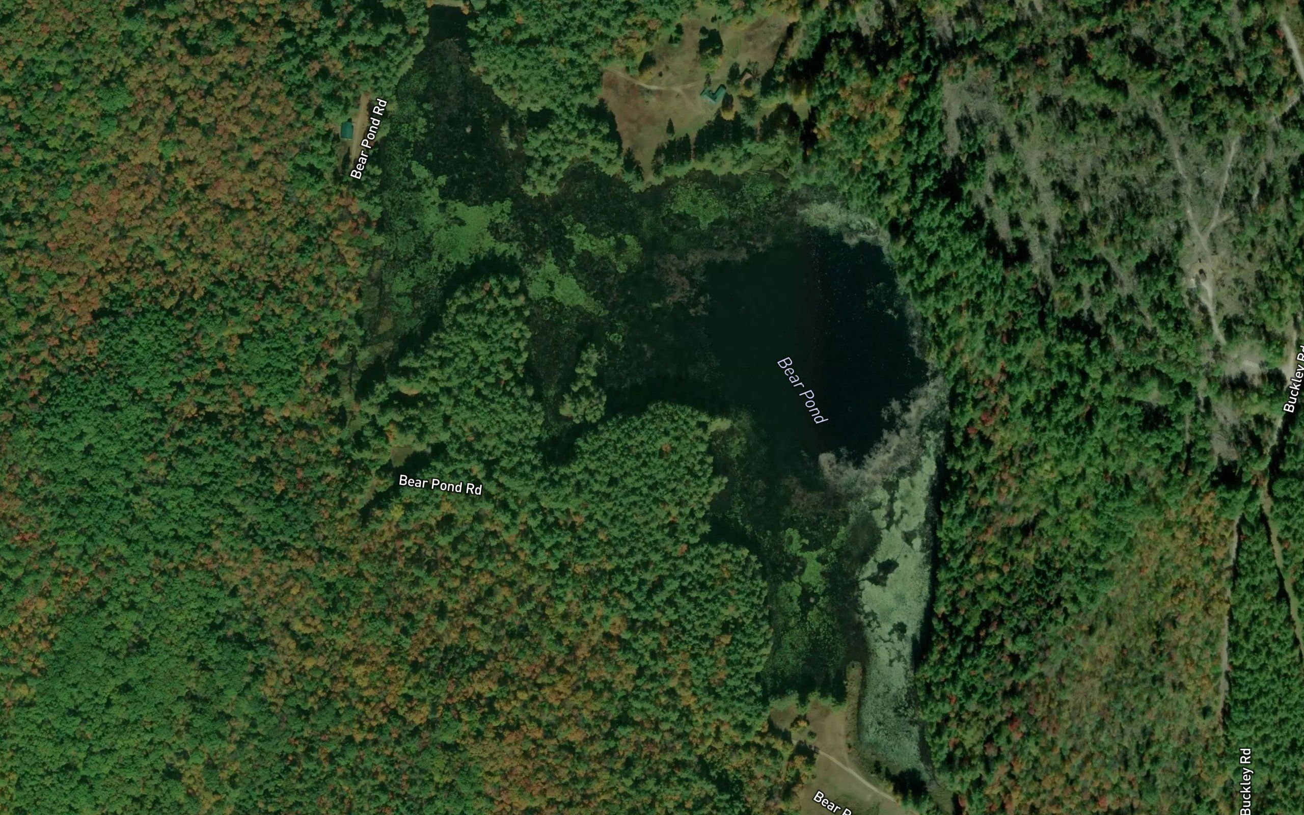 Bear Pond