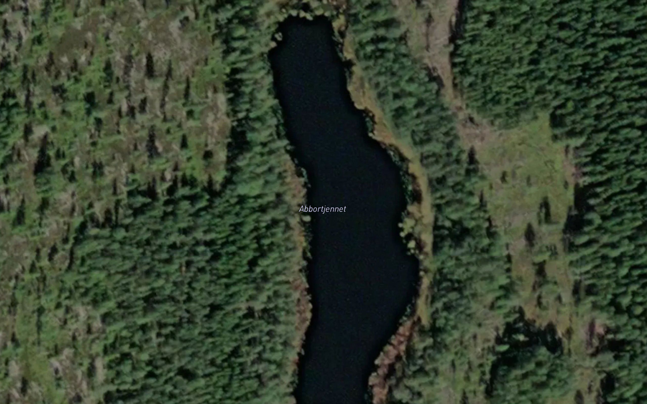 Abbortjennet