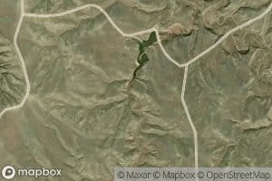 Double Tanks Spring