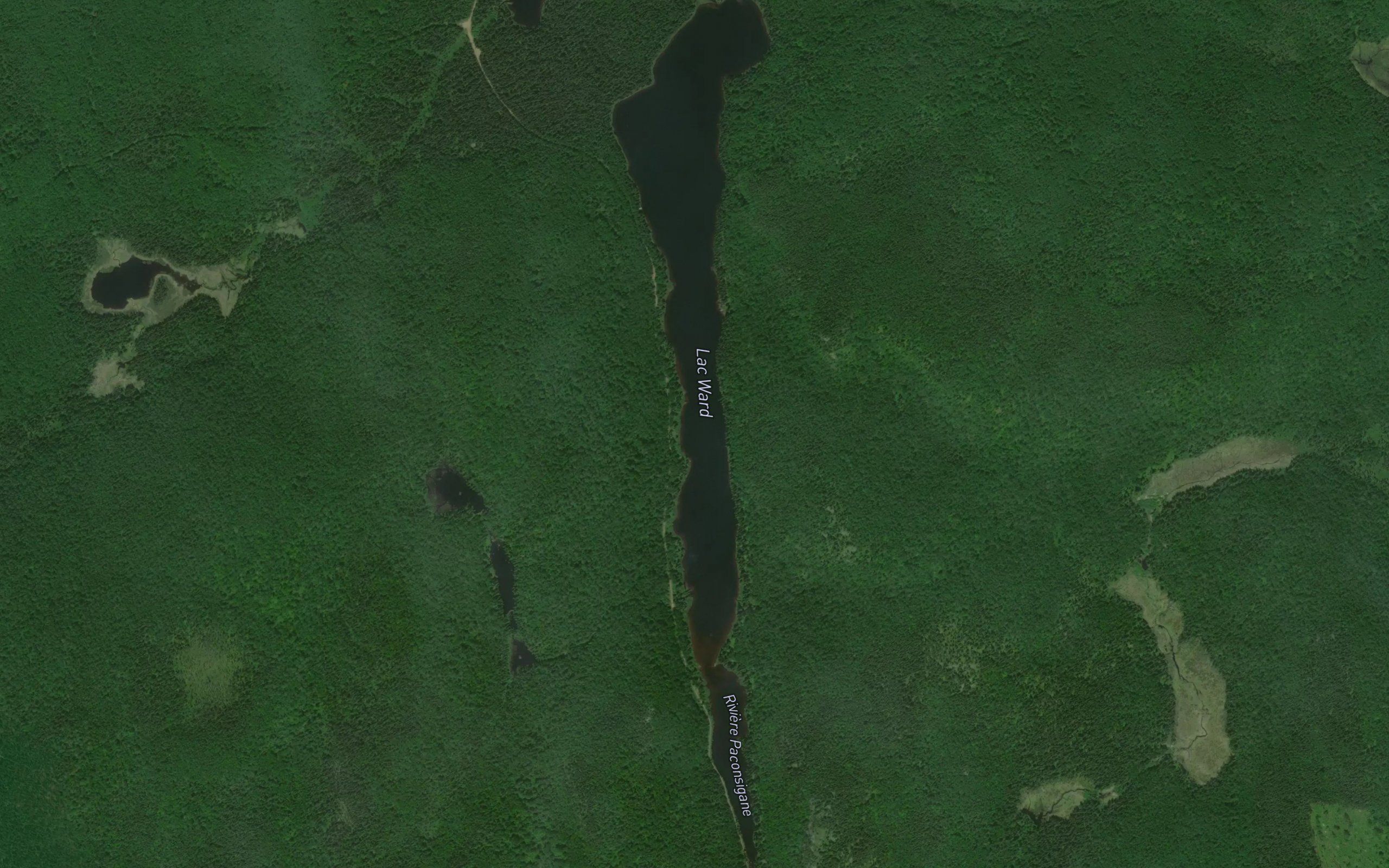 Lac Ward