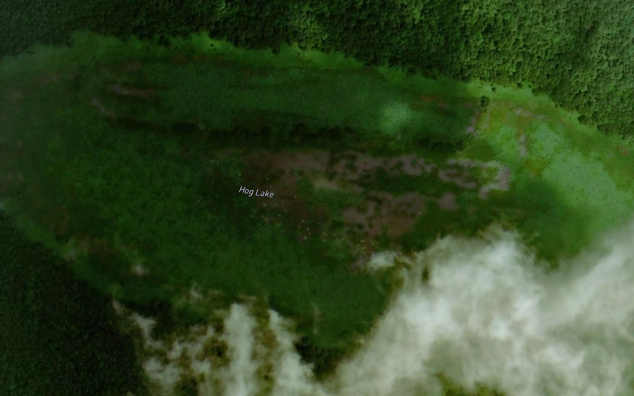 Hog Lake