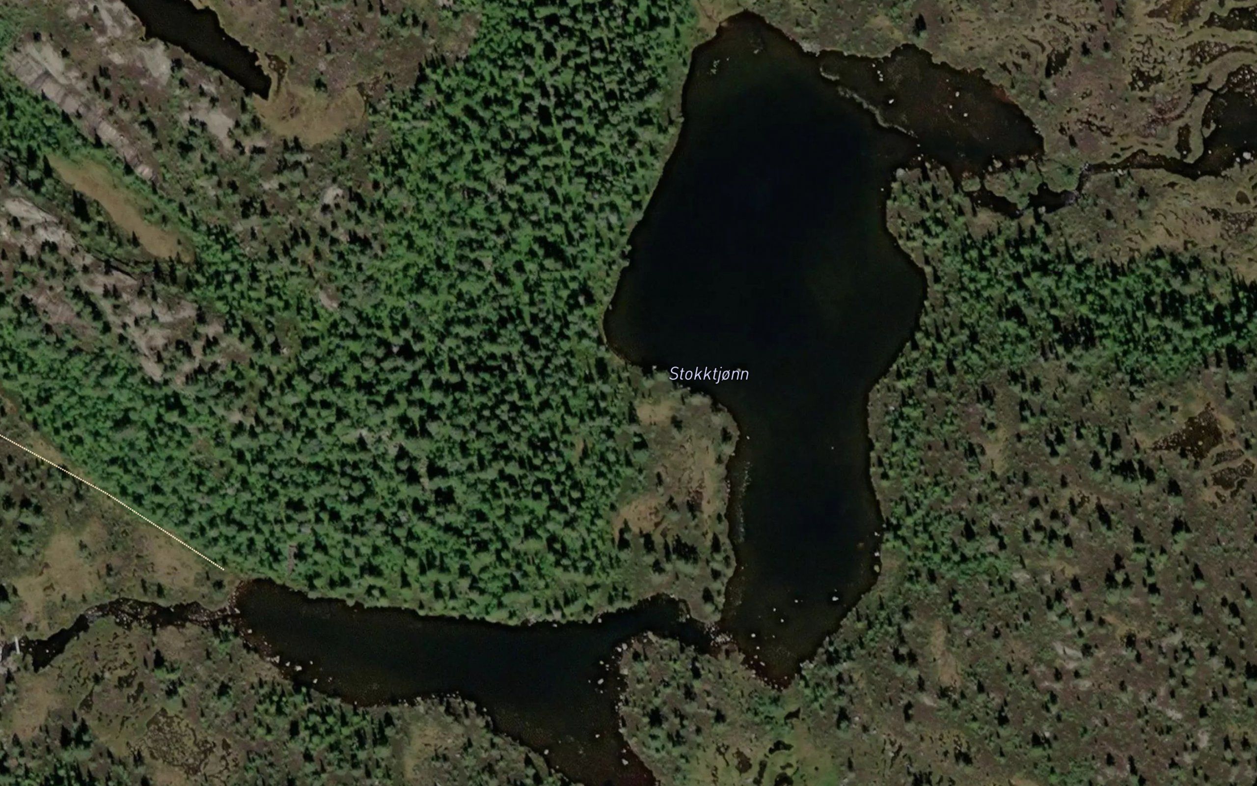 Stokktjorn