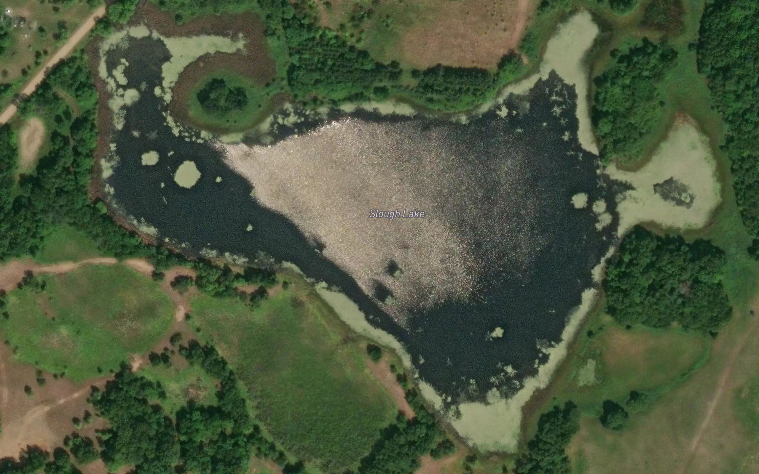 Slough Lake