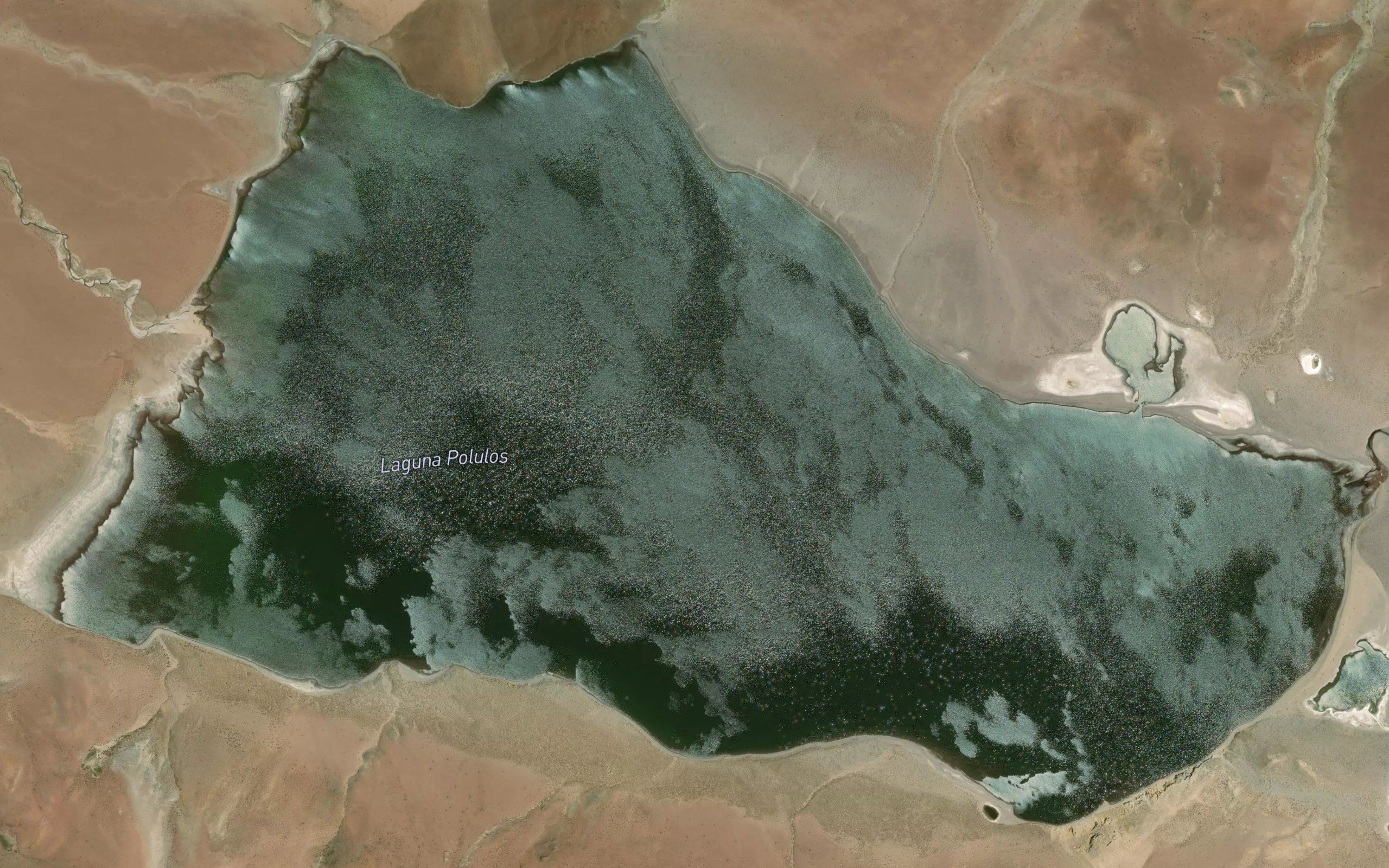 Laguna Pululos