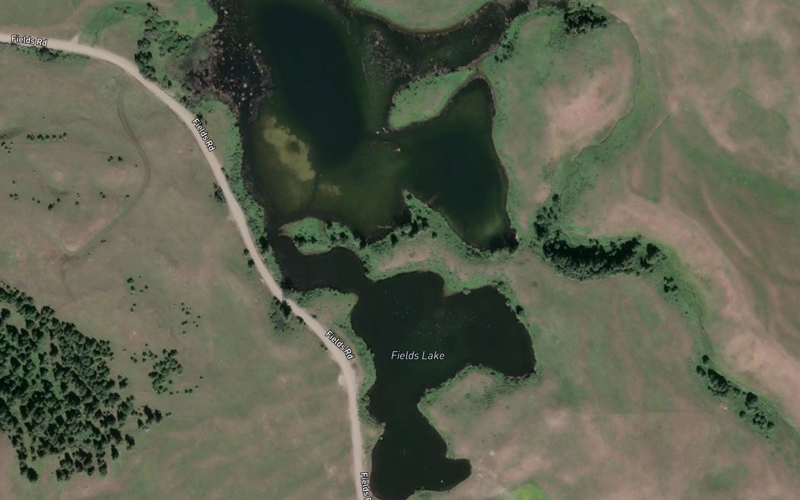 Fields Lake