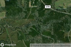 South Branch Vaughns Creek