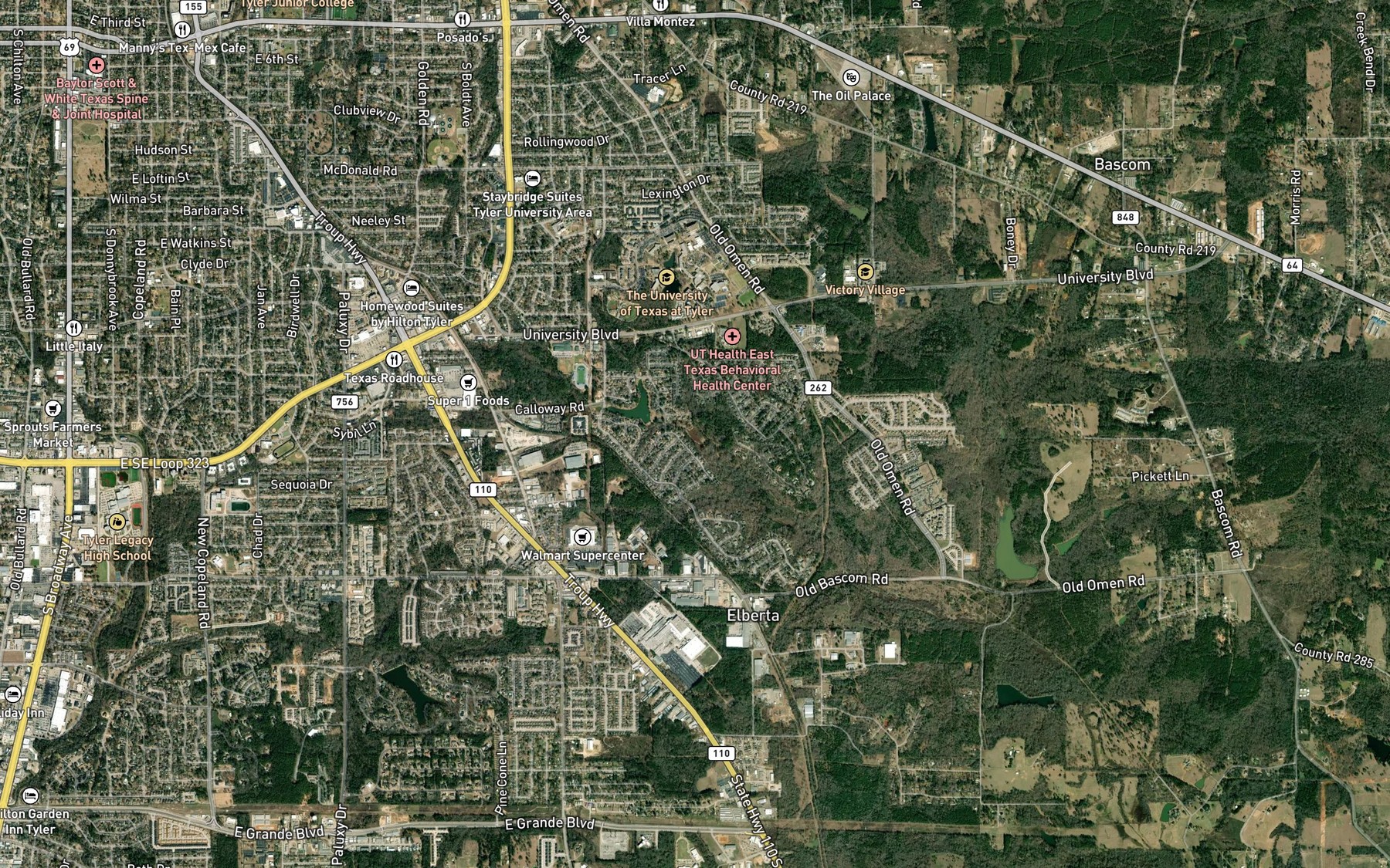 Satellite map of the Storey Lake