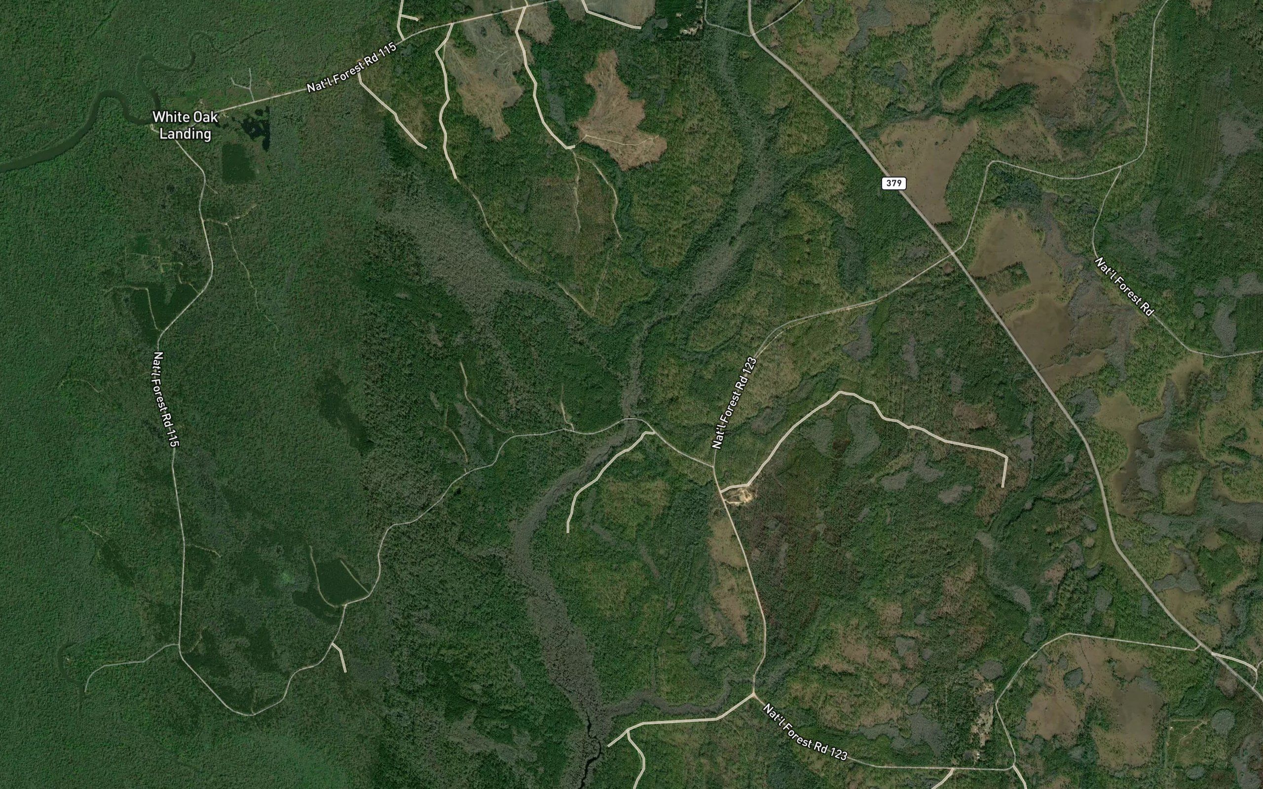Salters Branch