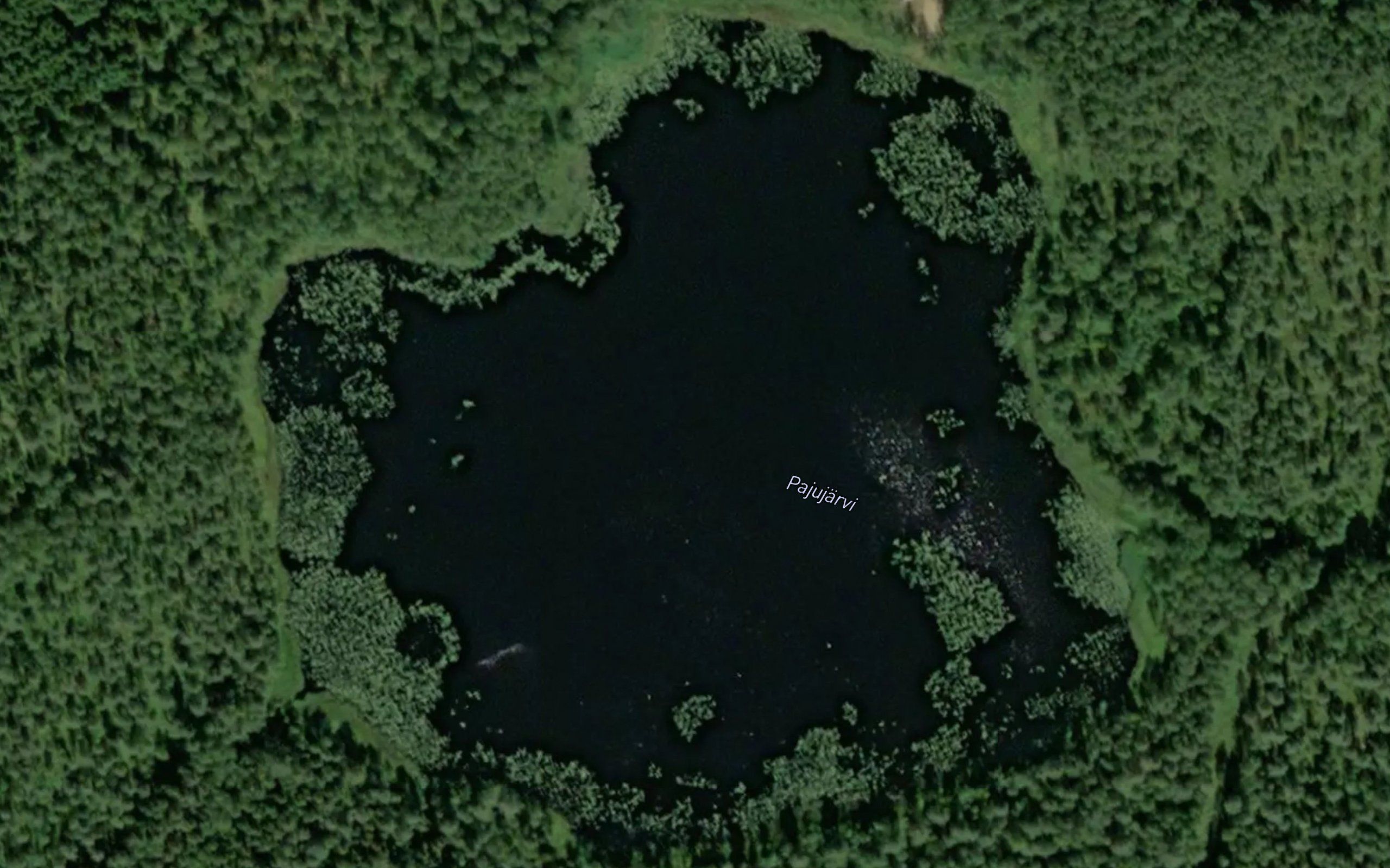 Pajujarvi