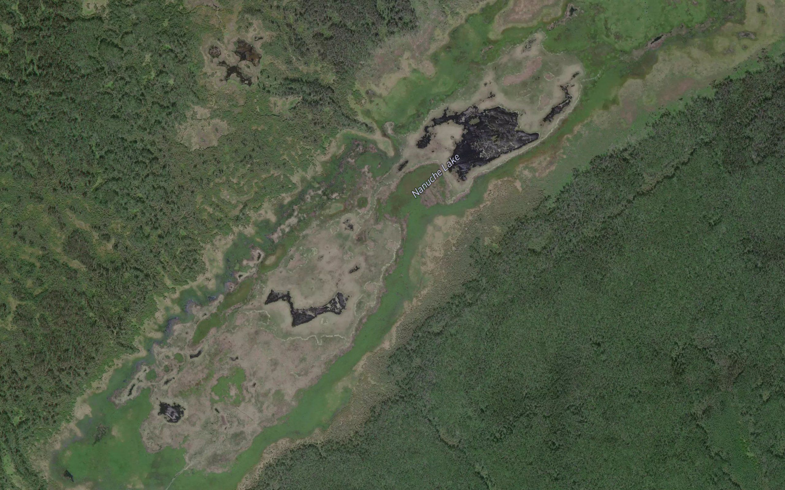 Nanuche Lake