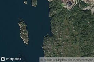 Vinsjevik