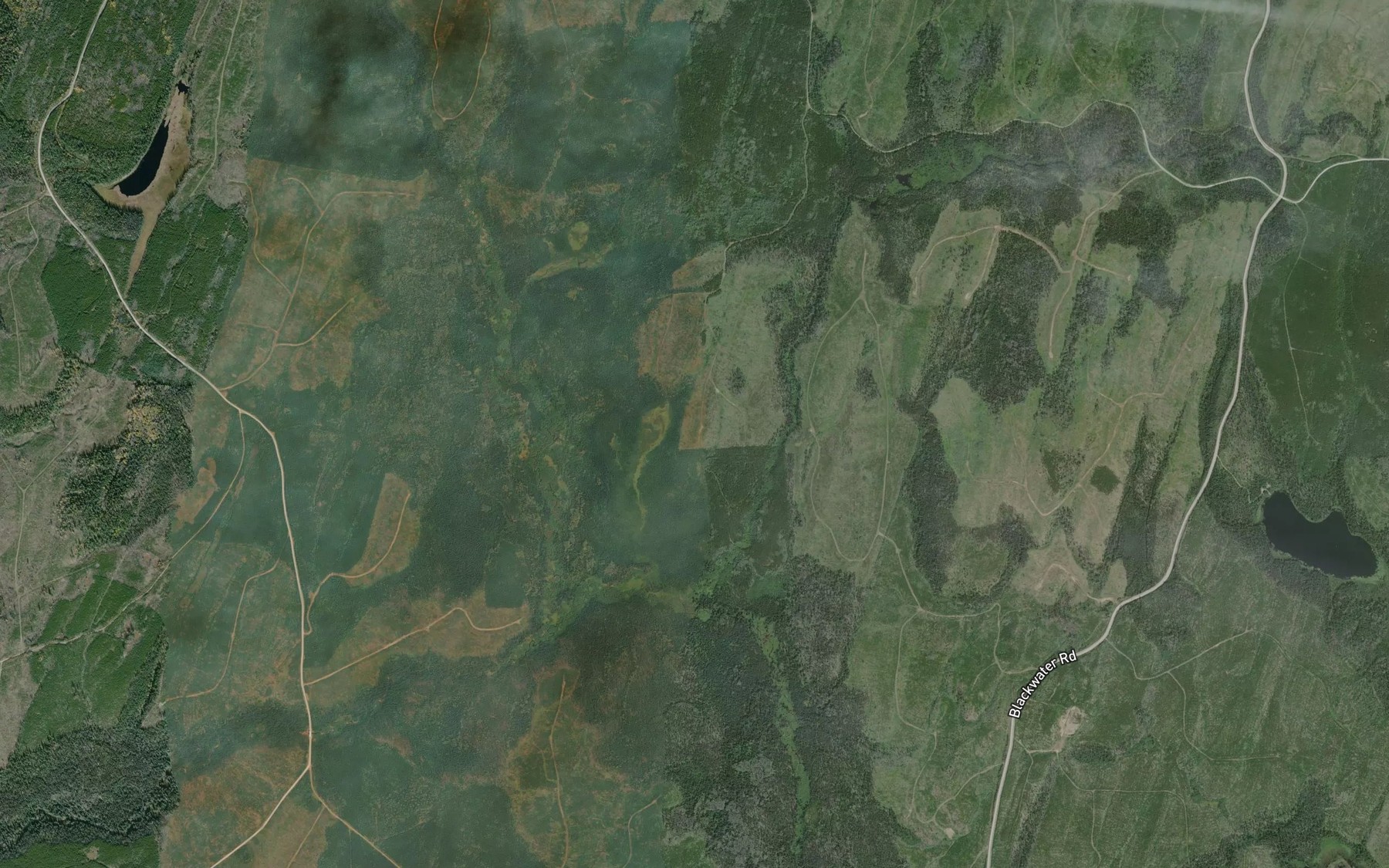 Satellite map of the McKenzie Creek