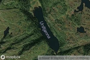 Urdtjorna