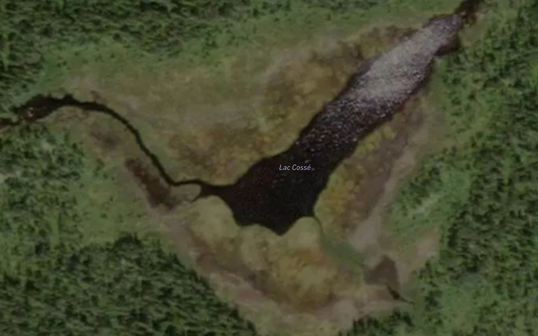 Satellite map of the Lac Cosse