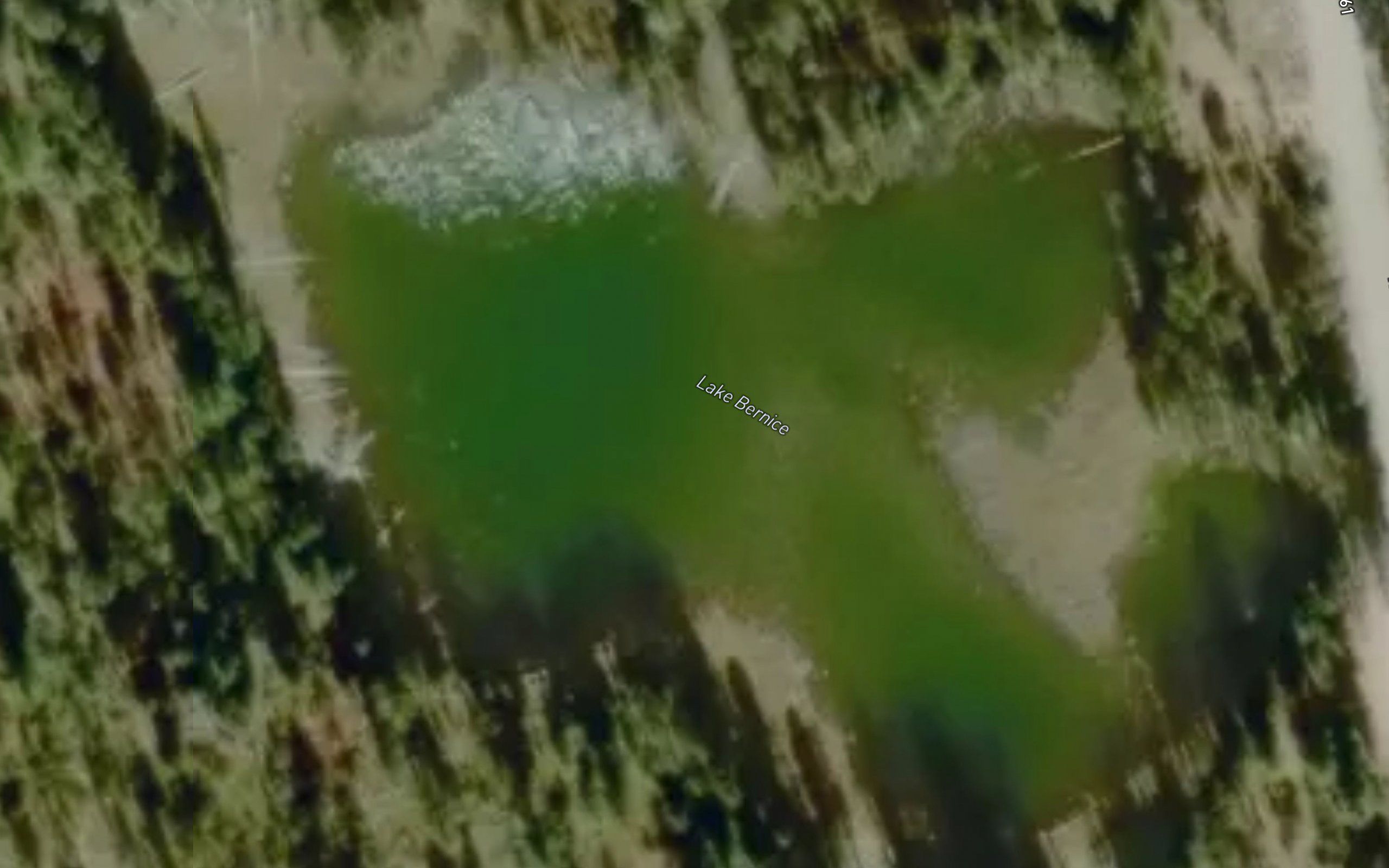 Lake Bernice