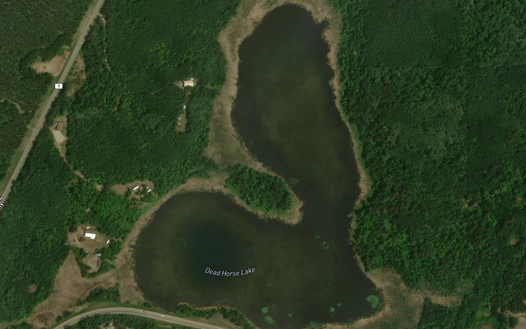 Satellite map of the Dead Horse Lake