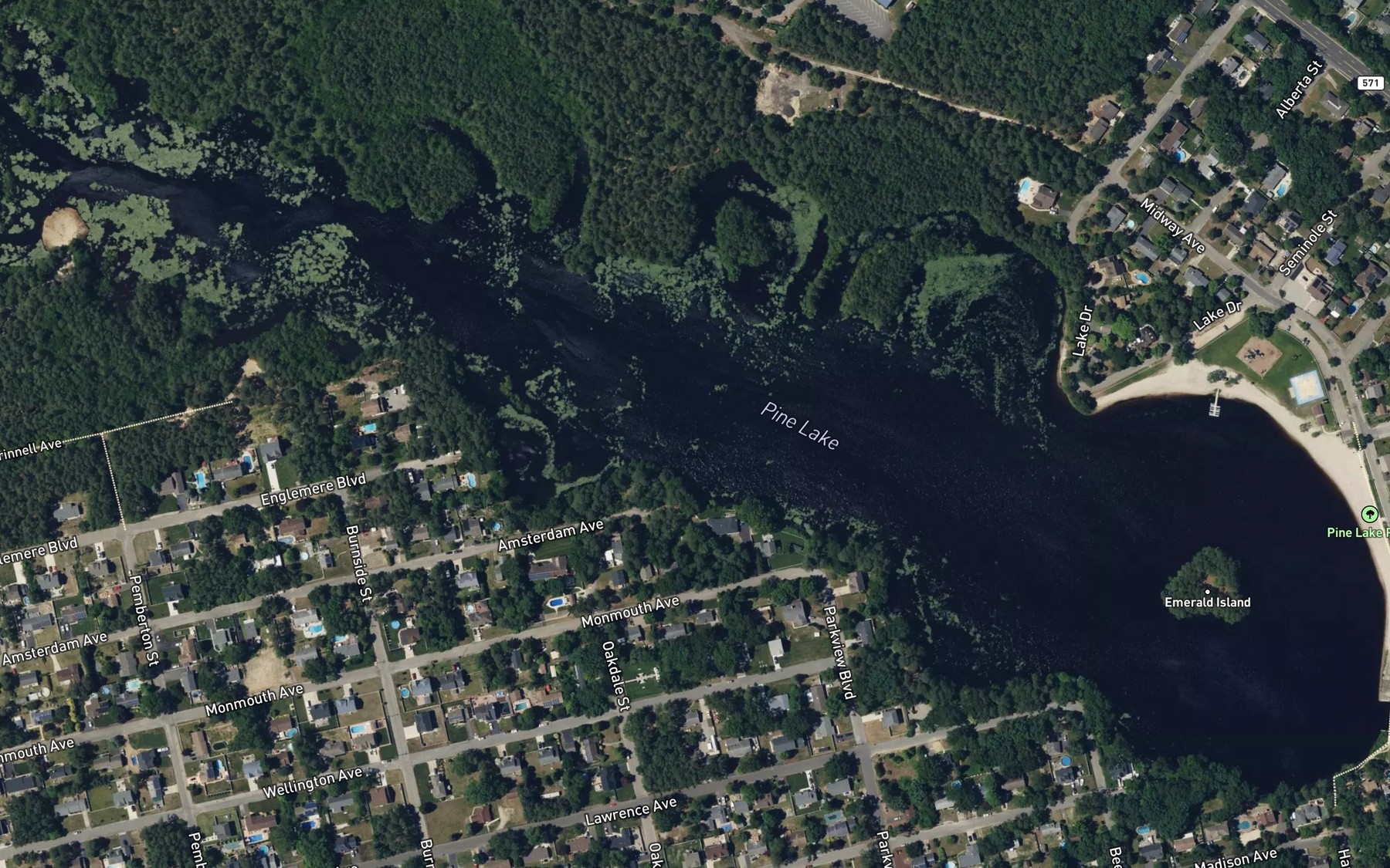 Satellite map of the Pine Lake