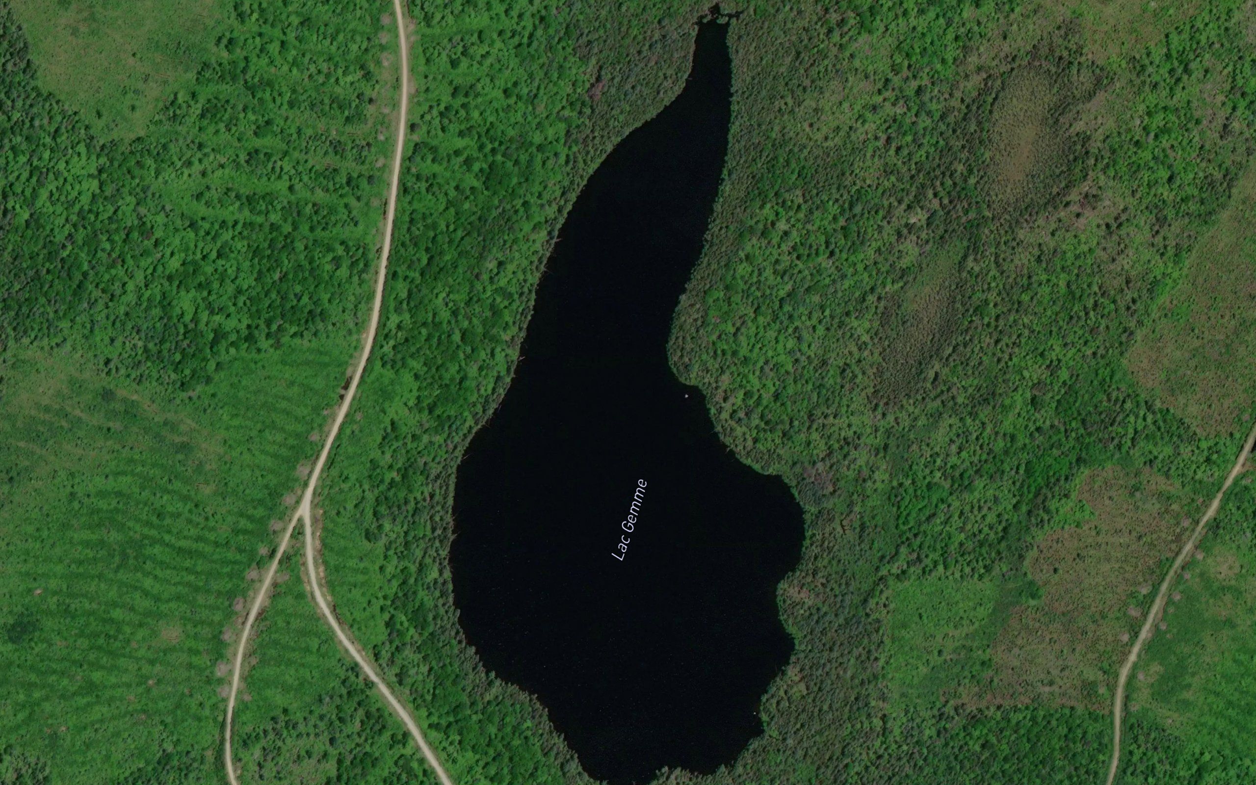 Lac Gemme