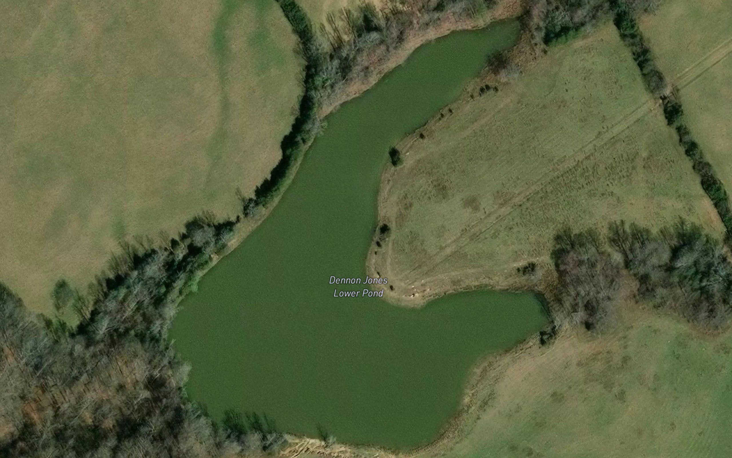 Dennon Jones Lower Pond