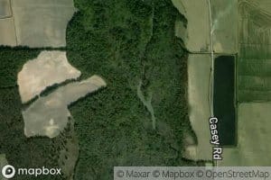 Buffalo Creek